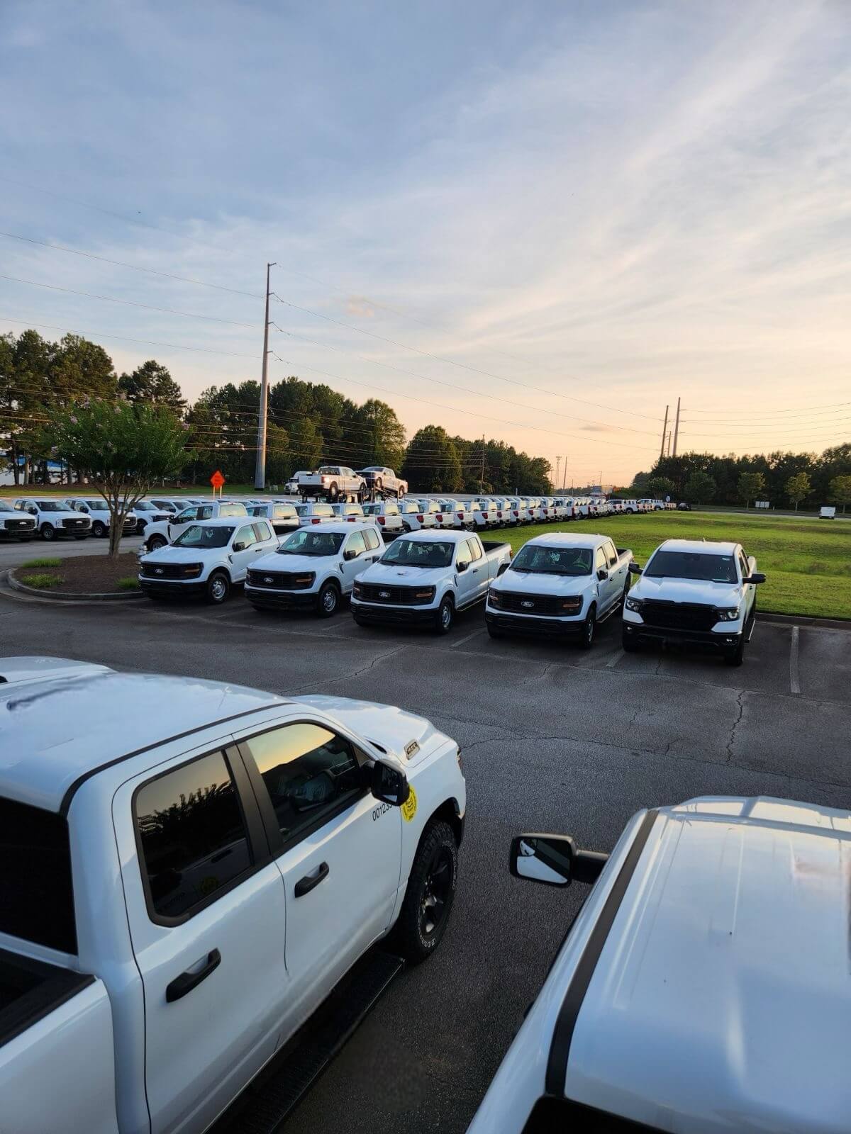 Rows of parked white pickup trucks under a clear sky, with trees and power lines in the background.